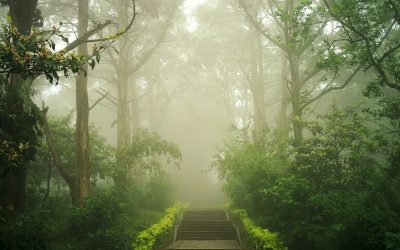 I Giardini Terapeutici-sabato 28 maggio