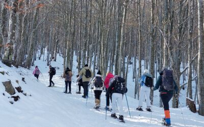 Percorso sulla NEVE domenica 5 febbraio